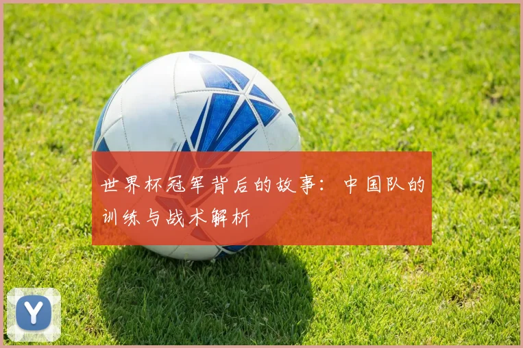 世界杯冠军背后的故事:中国队的训练与战术解析
