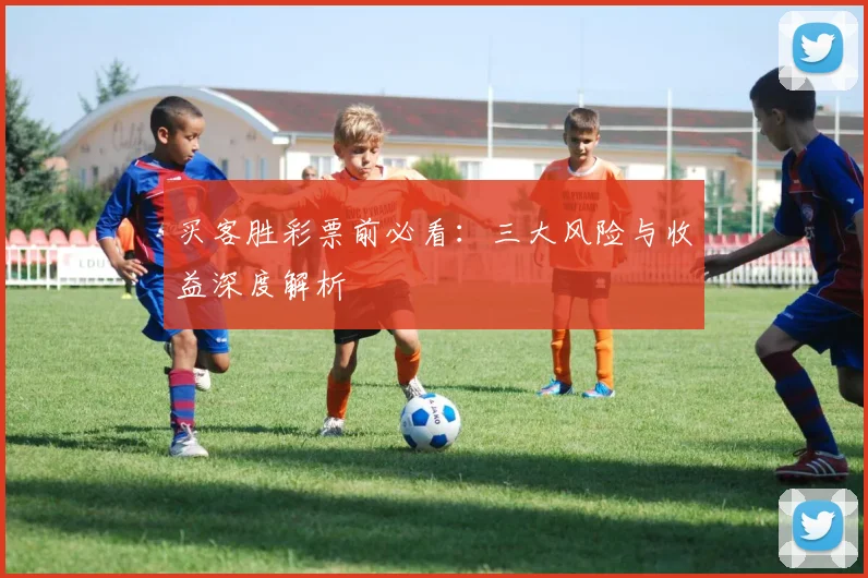 买客胜彩票前必看:三大风险与收益深度解析