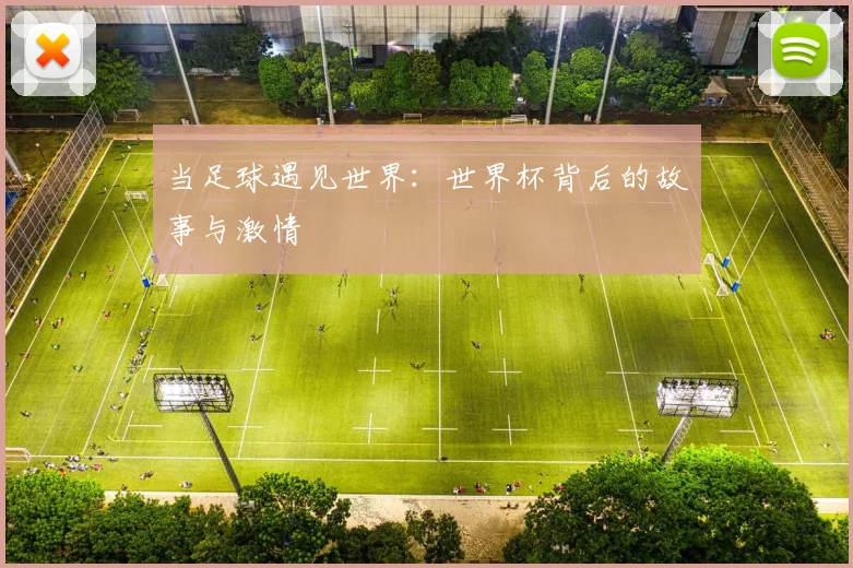 当足球遇见世界：世界杯背后的故事与激情