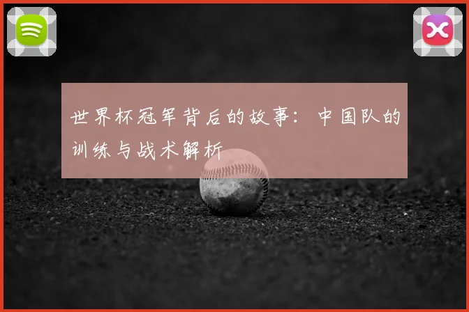 世界杯冠军背后的故事：中国队的训练与战术解析