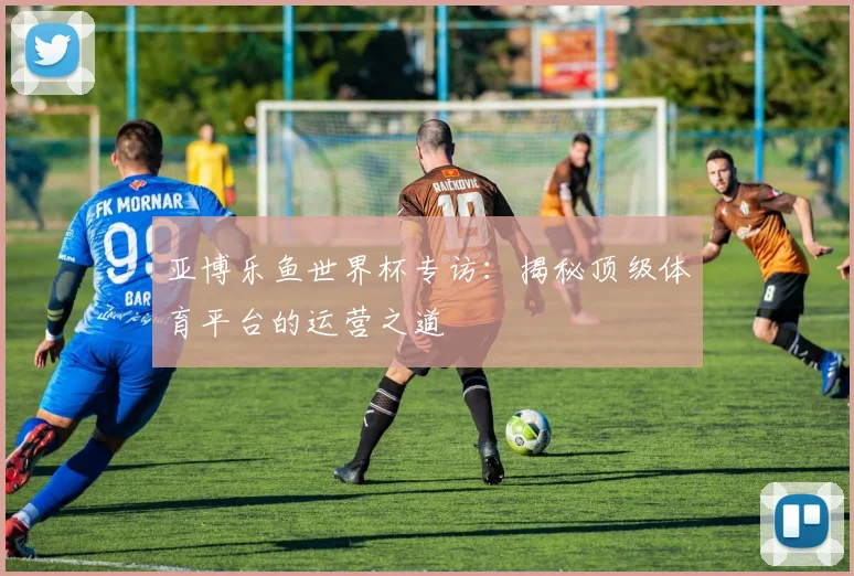 亚博乐鱼世界杯专访：揭秘顶级体育平台的运营之道