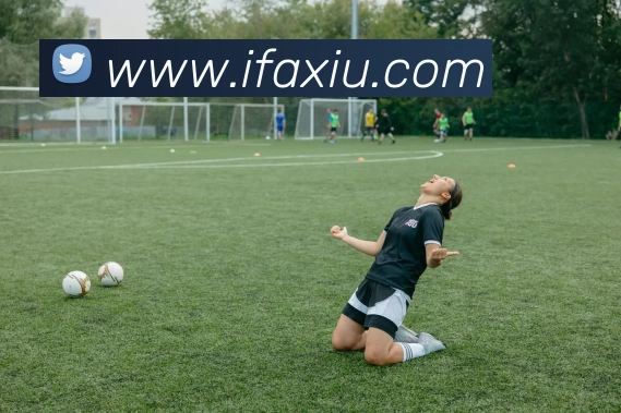 云开全站app登录入口平台生态图